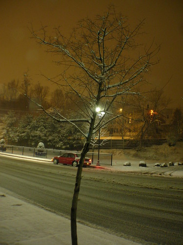 snow tree night augustamaine 10millionphotos