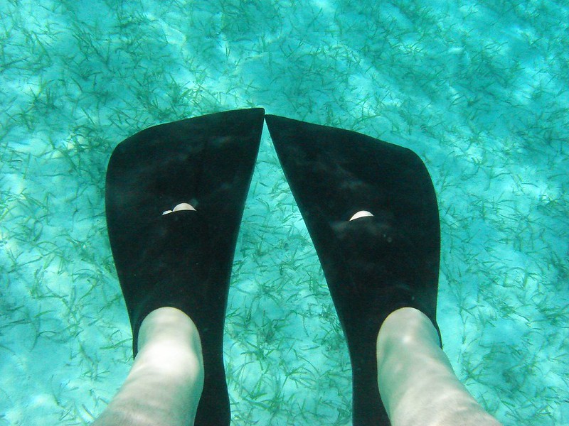 Feet in Castaway Cay Waters