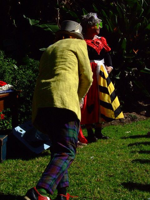 Mad Hatter's Tea Party at Wollongong Botanic Gardens