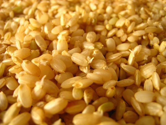 Sprouted Brow Rice sprouted brown rice | ginny | Flickr