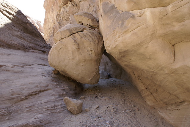 2008 South Fork of Palm Wash 008