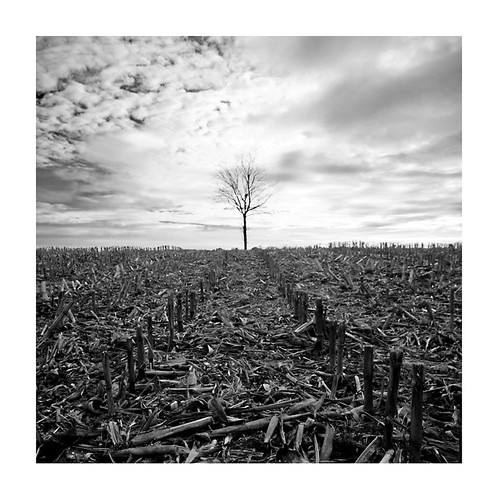 Le dernier | by frédus