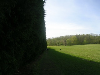 High hedge Yalding to Sevenoaks