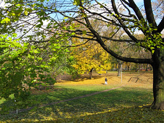 Dufferin Grove Park