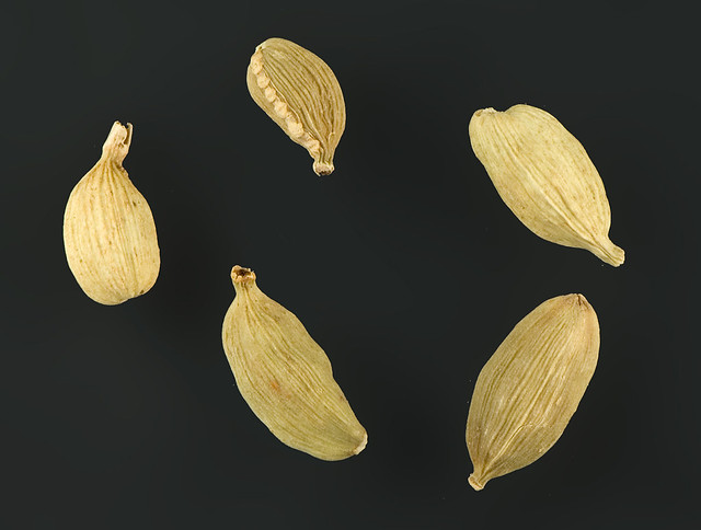 Elettaria cardamomum (Zingiberaceae)