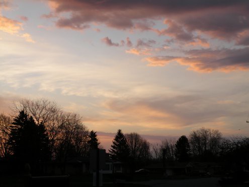 Sunrise by savethelephants, 
