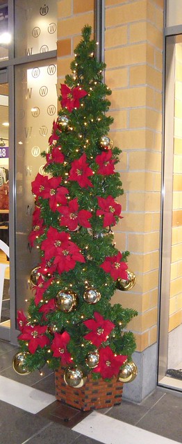 Christmas Tree with Poinsietta