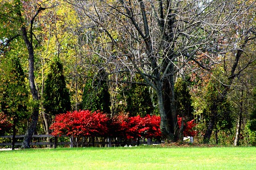 autumn trees fall nature digital canon landscape fantastic scenery perfect searchthebest lawn explore canonrebel bestlandscape xti golddragon fantasticlandscape canonrebelxti bestnature autumnscenery autumnlandscapes autumnlandscape anawesomeshot bestlandscapes diamondclassphotographer flickrdiamond megashot perfectscenery theperfectphotographer ilovemypics spiritofphotography showmeyourqualitypixels qualitypixels spiritofphotograpy thebestscenery landscapedigitalphotography