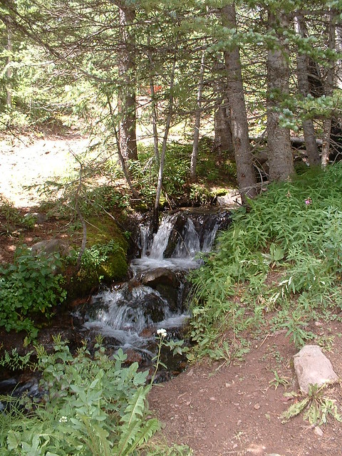 Bear Lake Waterfall