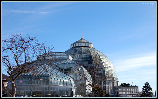 conservatory on the isle