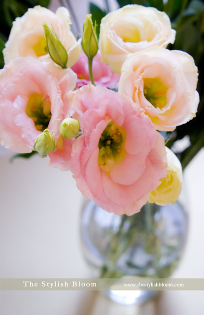 Lisianthus in a vase