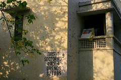 Government Housing : Delhi