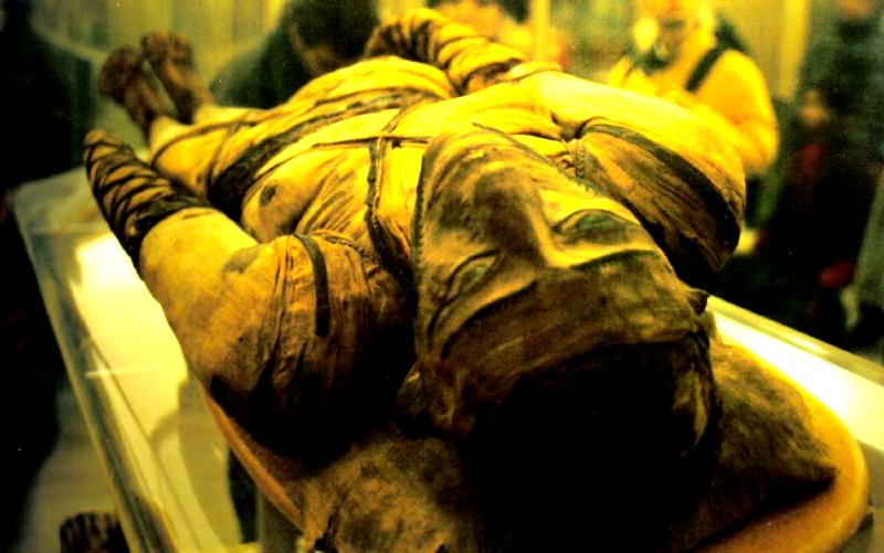 egyptian mummy, british museum, london, england