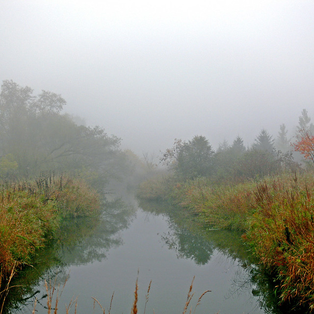 Foggy Fall Creek