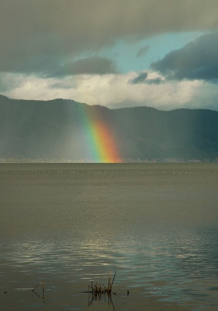 Rainbow over Clear Lake