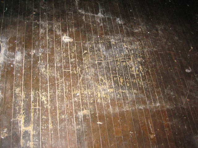Hardwood Floors IMG_2416