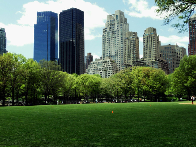 Central Park: campo y ciudad