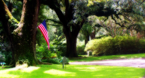 blue red white tree green photoshop manipulated landscape oak louisiana outdoor flag spanishmoss starsandstripes orton 2007 oldglory abbeville 1357 mywinners irresistiblebeauty superbmasterpiece