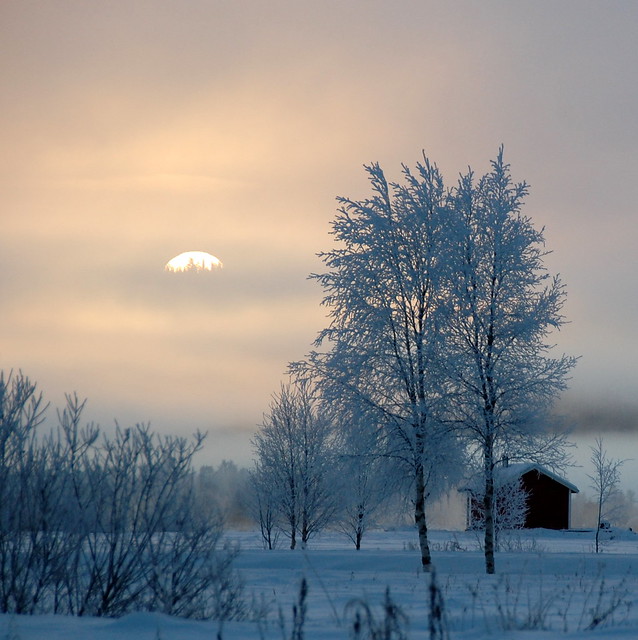 Arctic Sunrise - Sweden