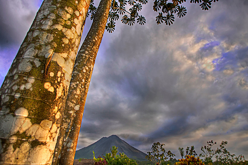 Palm Tree Volcano, Arenal, Costa Rica