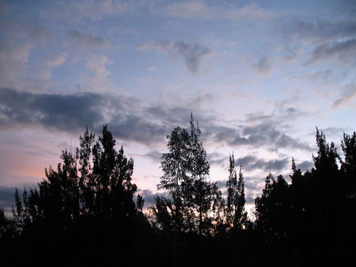 trees sunset cloud tree peru atardecer árboles wolke perú nubes bäume baum huánuco