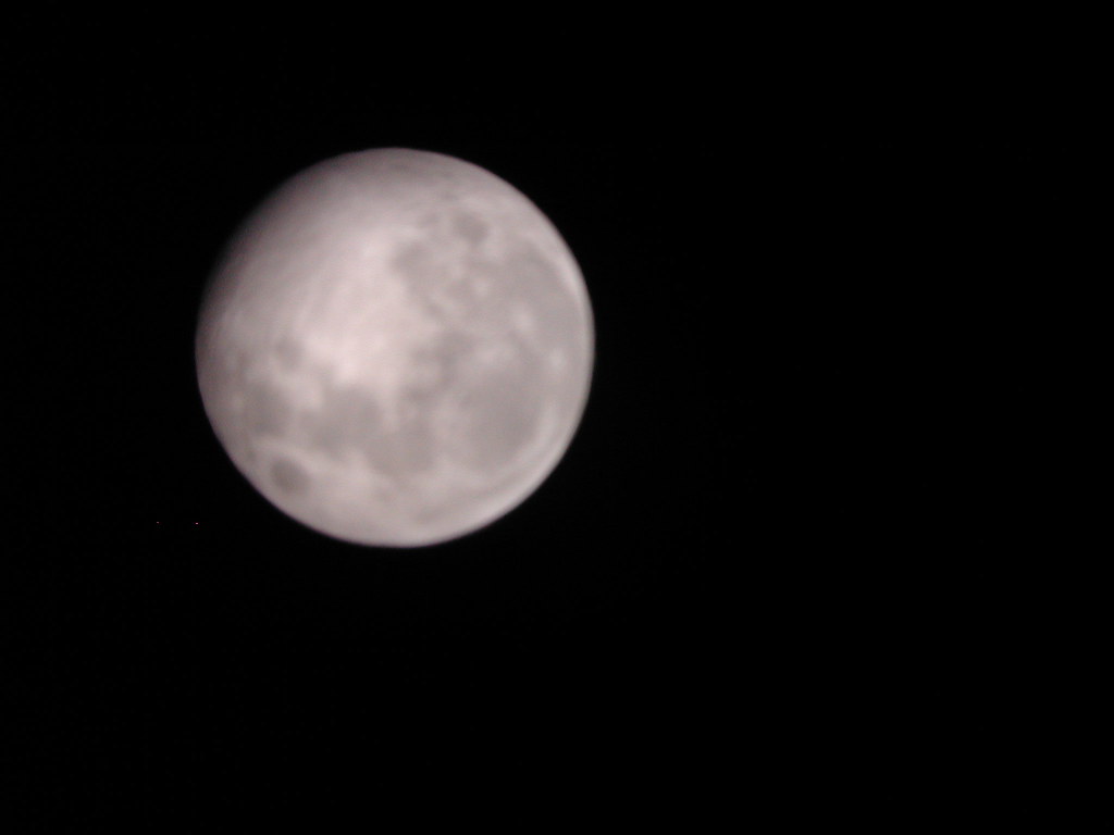 doen alsof Pessimist gebrek The Moon | Taken through my telescope. Though a bit blurry i… | Flickr