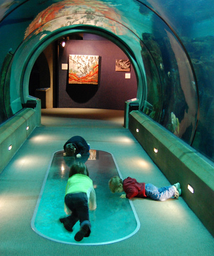 sea vacation boys water glass girl kids dark children lights aquarium three floor tube tunnel lying kneeling laying d40 nikond40