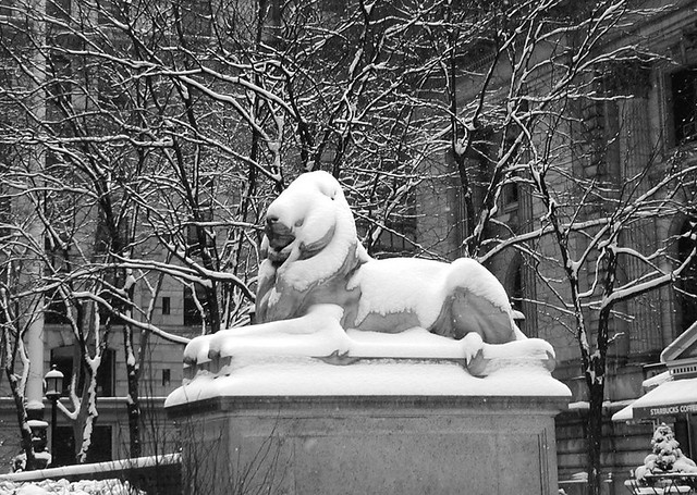 Library Snow Lion