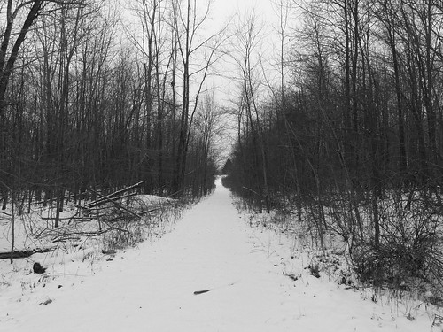 trees winter ohio snow nature forest path trail mansfield