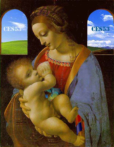 Leonardo da Vinci | by The da Vinci Code solved