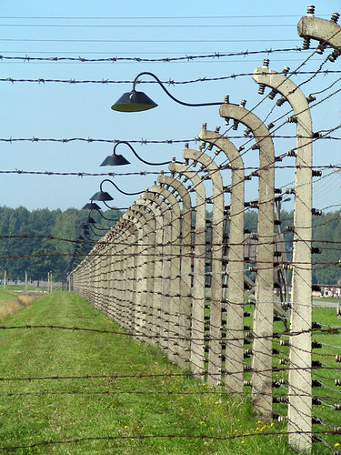 Fences of Birkenau