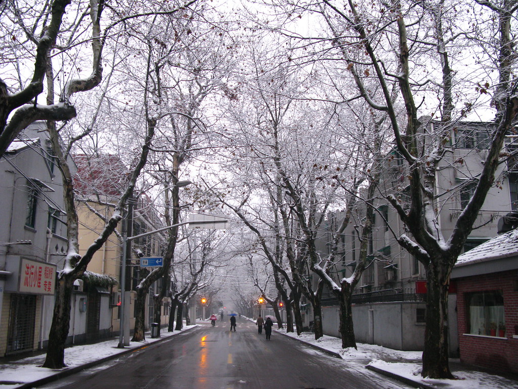 Shanghai's French Quarter Covered with Snow