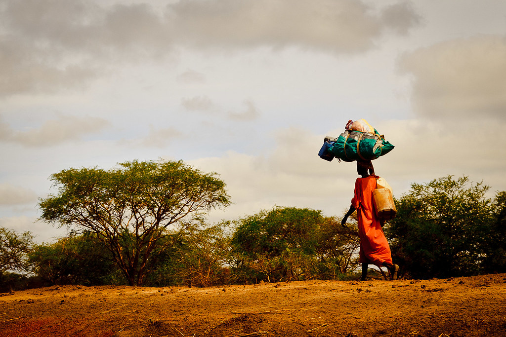 Woman Carries Belongings A Woman Carries Her Belongings Al… Flickr