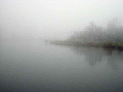 Fog | by doc(q)man