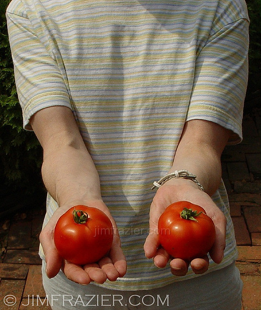 Wanna see my wife's tomatoes?