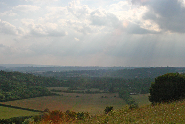 Sunbeams on Pewley Down, Guildford