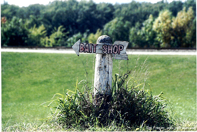 Bait Sign in Weeds