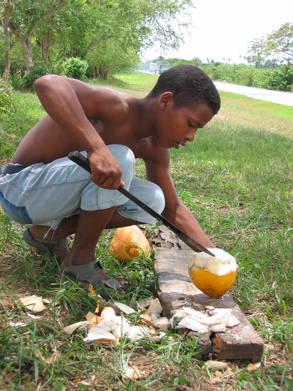 Boy selling coconuts on the roadside