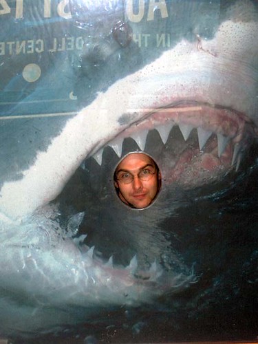 SharkAttacks | by yreasen