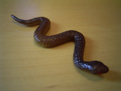 蛇
hêbi