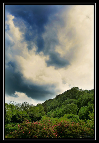 Heavy Gathering by Kim Gowney