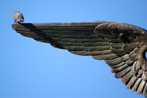 Angel Wing | ©2008 laverrue | Ludovic Bertron | Flickr