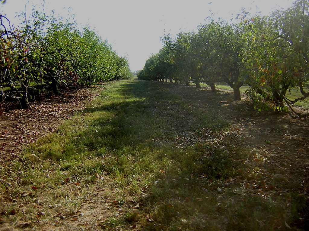 Hayride Trail