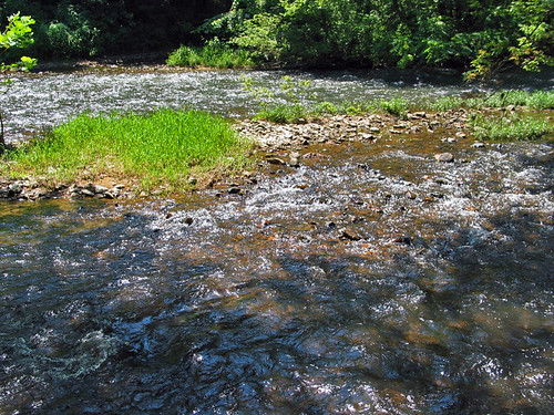 summer water river virginia woods va shenandoahriver rockinghamcounty portrepublic