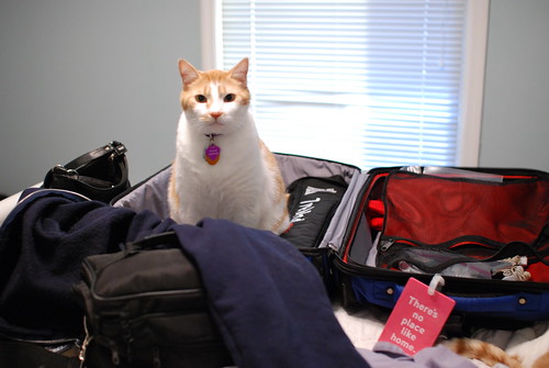 Tenzing's opinion about packing seems rather clear.