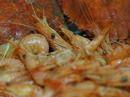 Langostinos | by franmembrillera