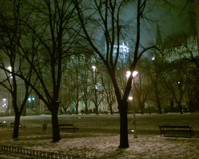 Fák a Parlament előtt a 2-es villamosból, ill. annak megállójából nézve éjjel
