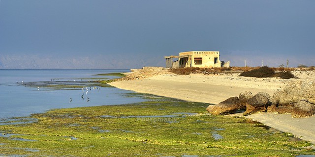 Western Coast of Kish Island in Persian Gulf, Iran (Persia)