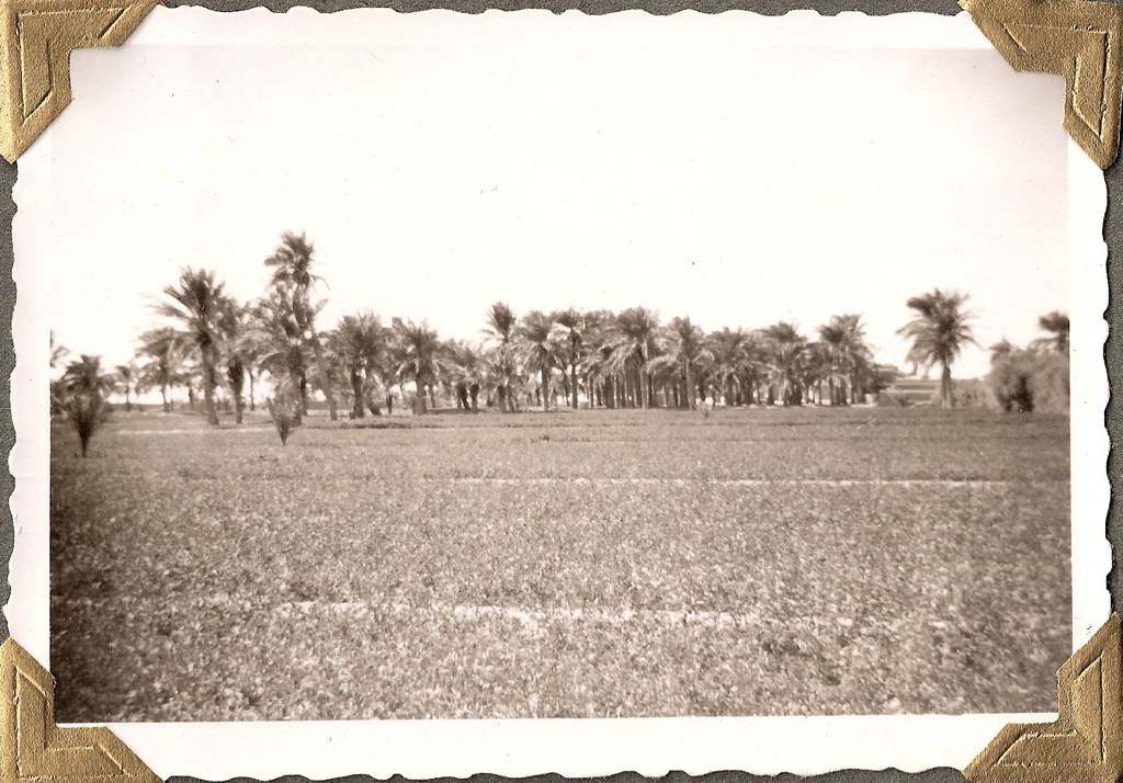 Kuwait, Jahara...Persian Gulf Region; about 1950