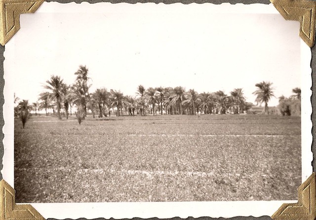Kuwait, Jahara...Persian Gulf Region; about 1950